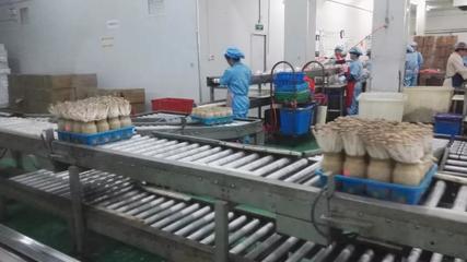 市投促局赴上?？疾烊〉梅e極成果，四項目達成技術咨詢共識