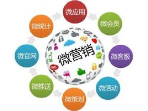 南京小程序與軟件開(kāi)發(fā)公司選擇指南 如何找到可靠的服務(wù)商